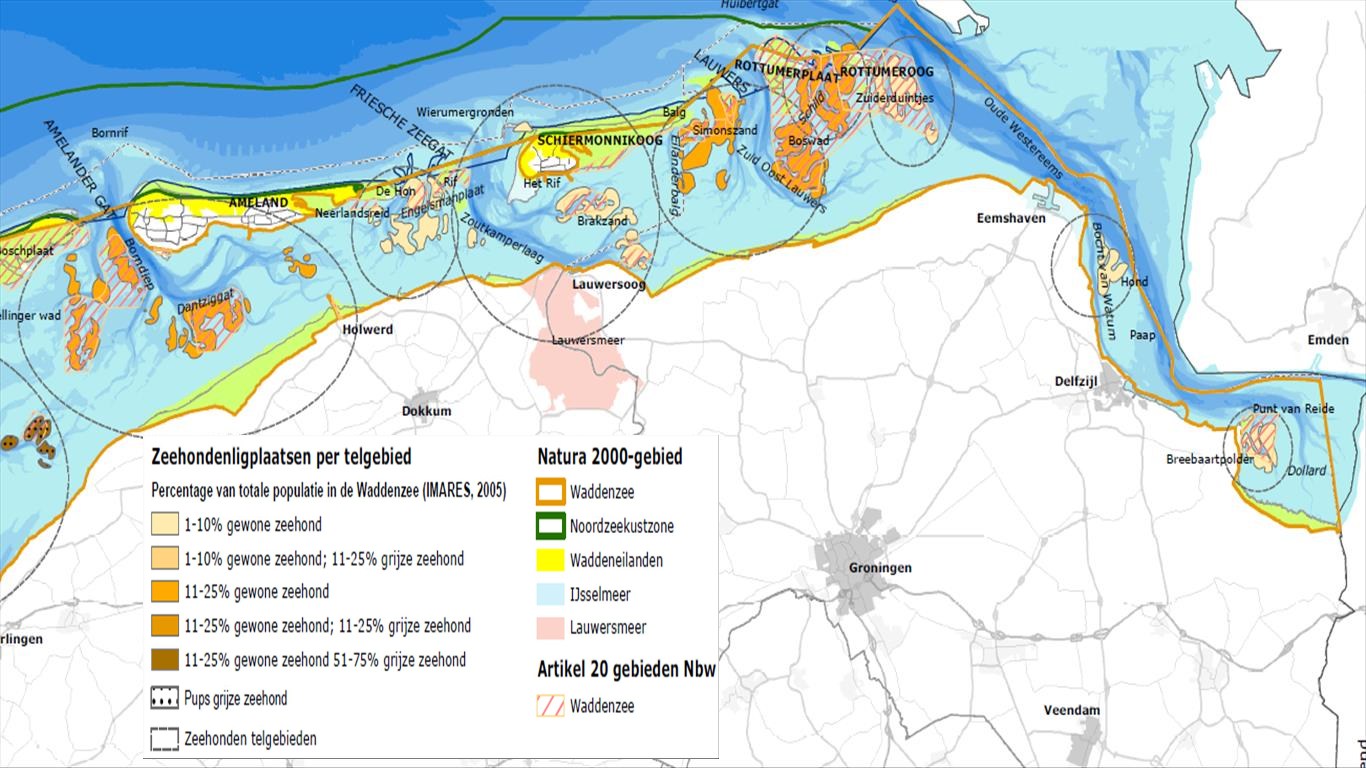 rustplaatsen van zeehonden westelijk Wad