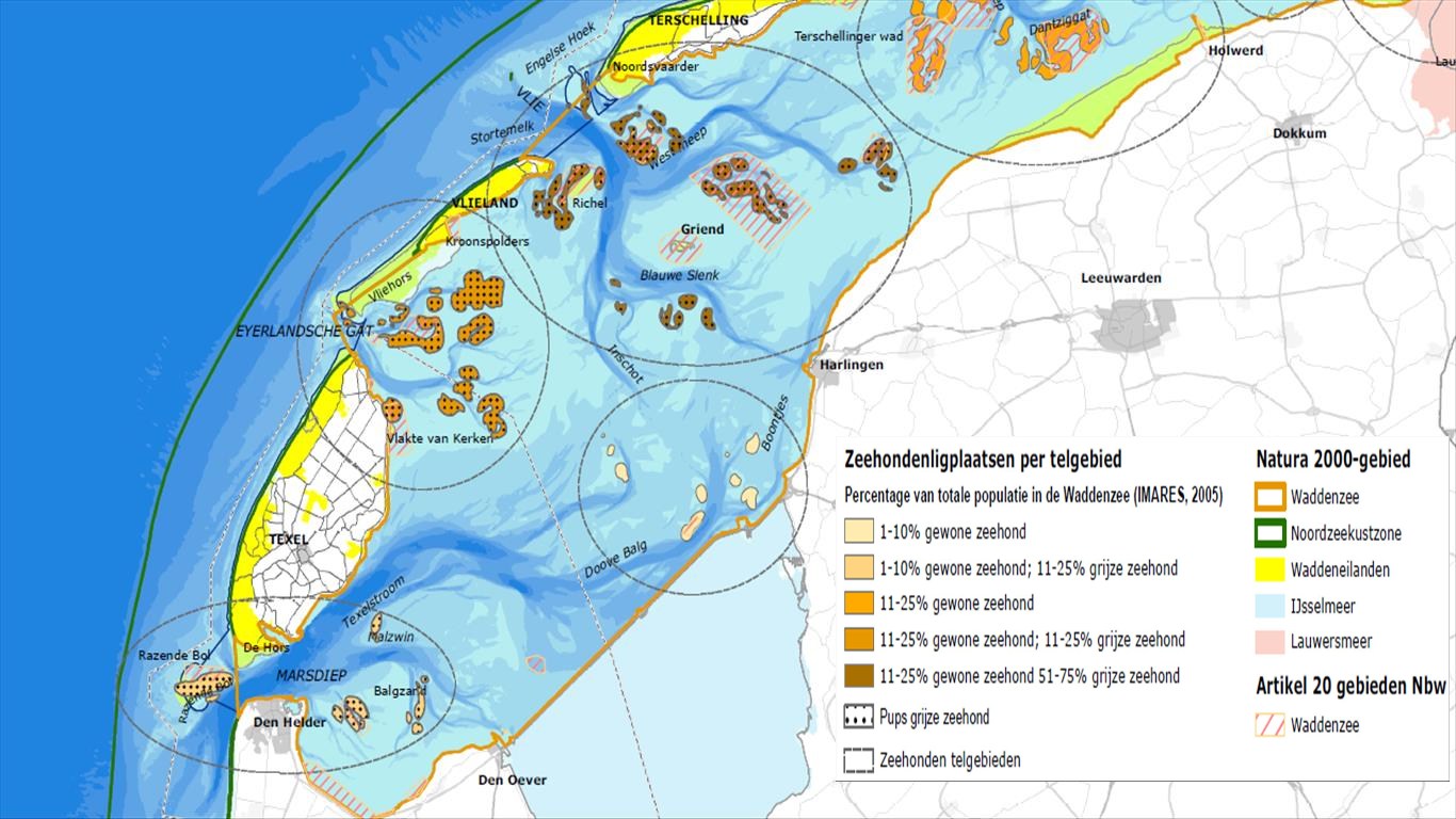 rustplaatsen van zeehonden westelijk Wad